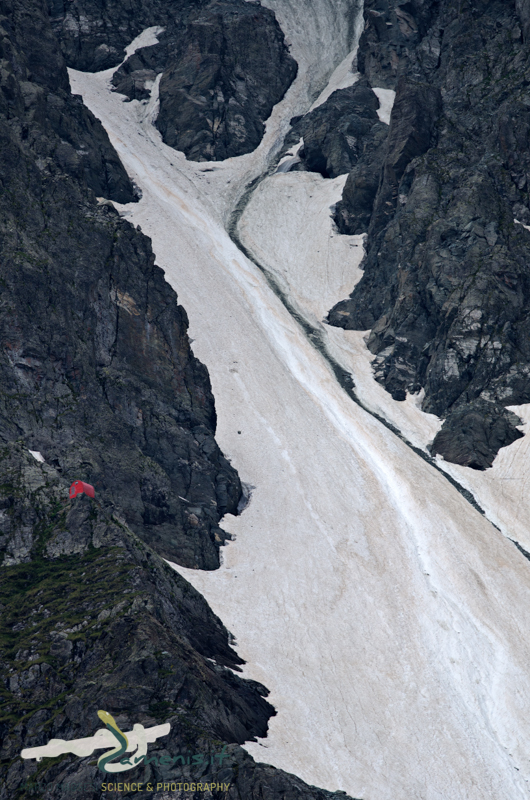 Red spot on the glacier